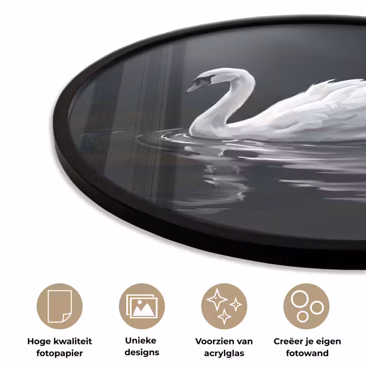 Zwaan - Water - Natuur - Realistisch - Wit Fotolijst rond zonder passe partout klein -closeup_NL
