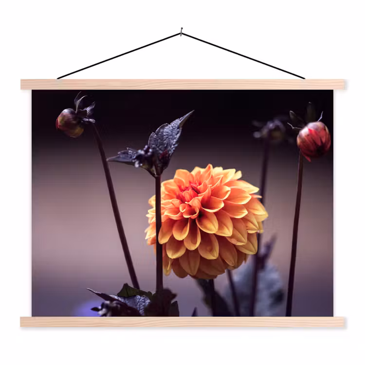 Bloemen - Chrysant - Macro - Planten textielposter latten blank klein -3d