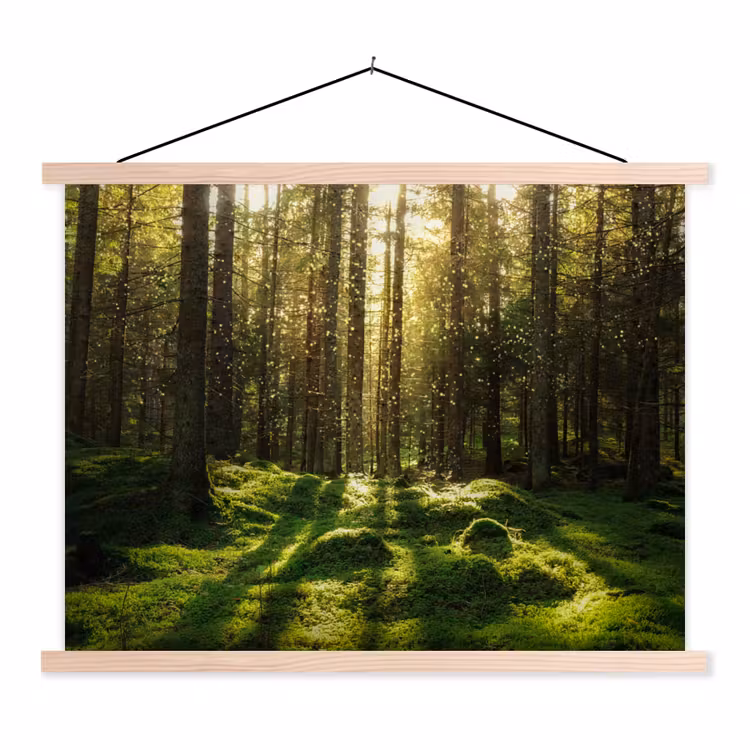 Bomen - Bos - Mos - Planten - Zon textielposter latten blank klein -3d