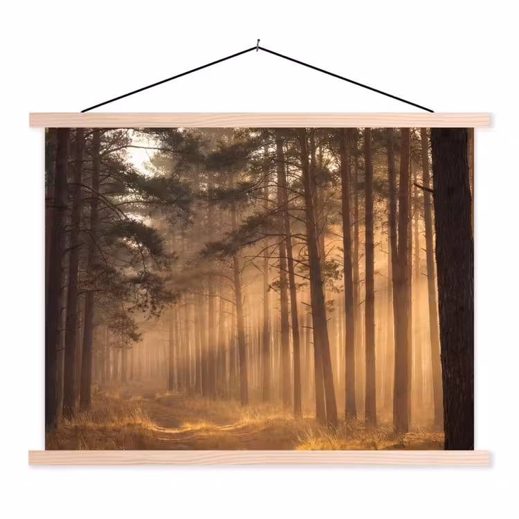 Bos - Mist - Zonlicht textielposter latten blank klein -3d