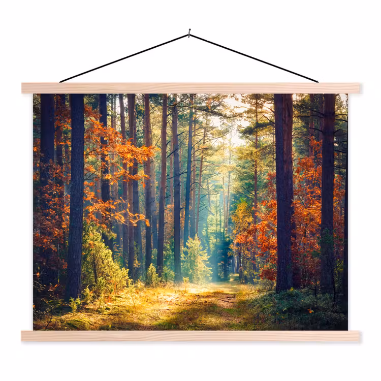 Bos - Zon - Natuur - Herfst textielposter latten blank klein -3d