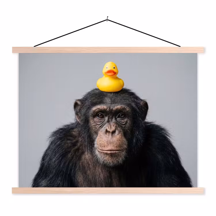 Chimpansee - Badeend - Grijs textielposter latten blank klein -3d