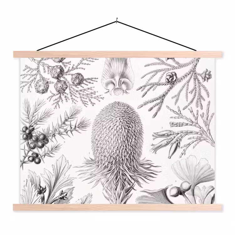 Tuinposter zwart wit - Ernst Haeckel - Kunst - Retro - Tuin textielposter latten blank klein -3d
