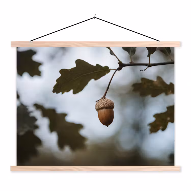 Eikel - Eikenblad - Bos - Herfst - Natuur textielposter latten blank klein -3d