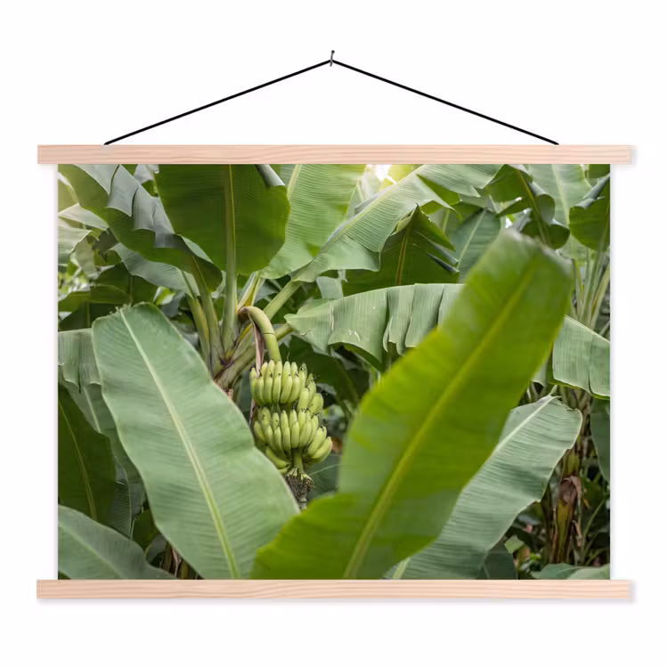 Eten - Bananen - Plantage - Groen textielposter latten blank klein -3d