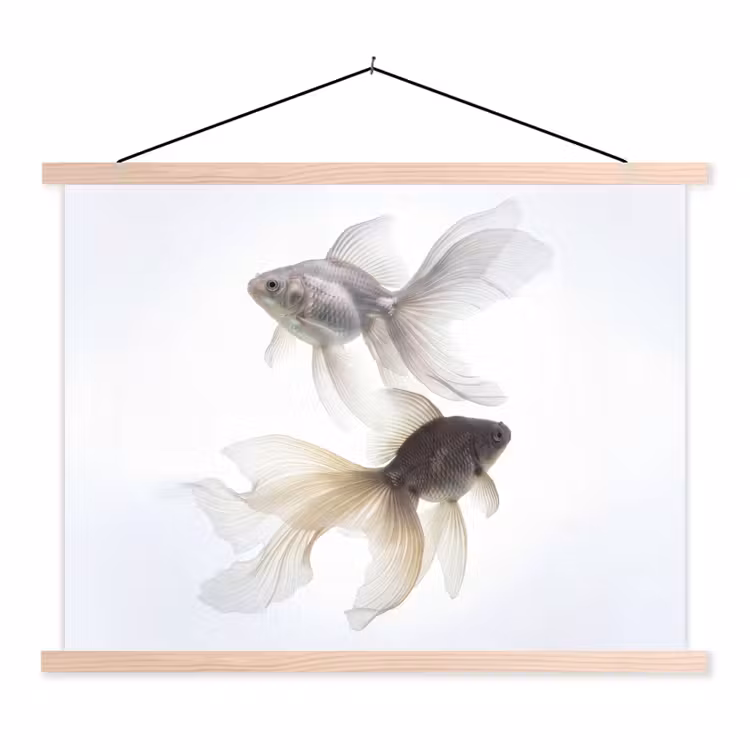 Goudvissen - Modern - Wit textielposter latten blank klein -3d