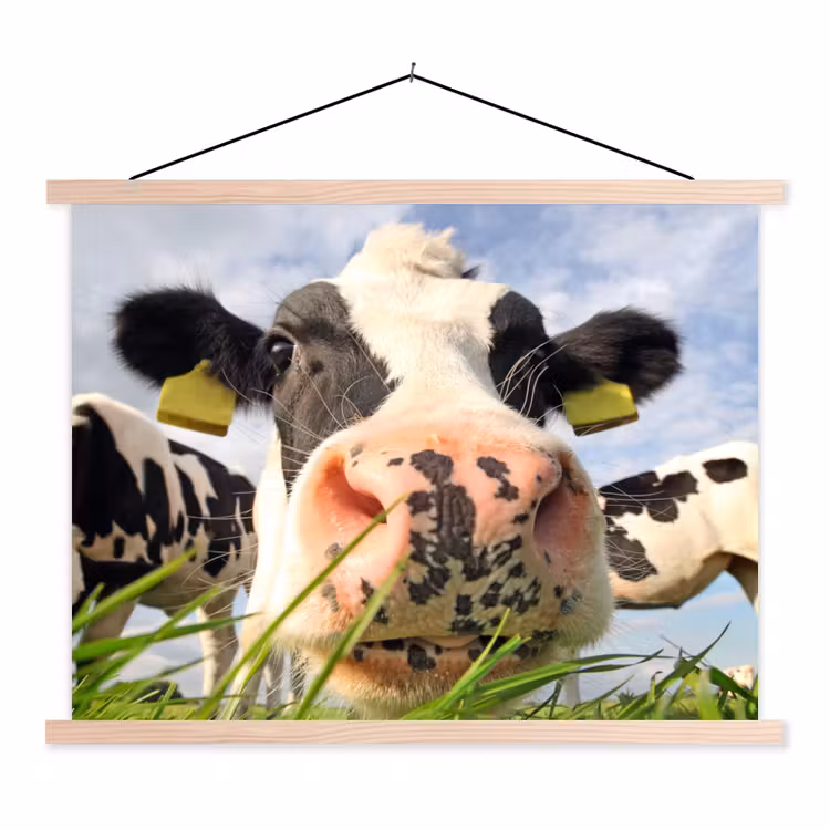 Koe - Boerderij - Gras - Dieren textielposter latten blank klein -3d