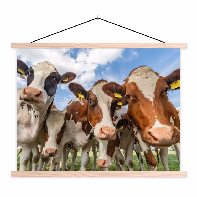 Koeien - Dieren - Weiland - Natuur textielposter latten blank klein -3d