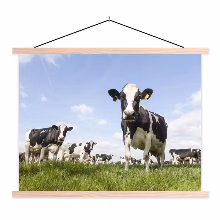 Koeien - Gras - Dieren - Zon - Boerderij textielposter latten blank klein -3d