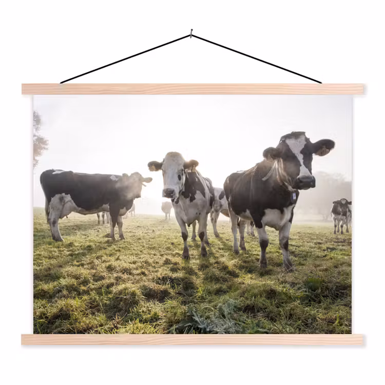 Koeien - Licht - Gras - Dieren textielposter latten blank klein -3d
