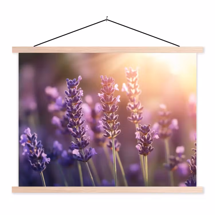 Lavendelbloemen - Paars - Zonlicht textielposter latten blank klein -3d