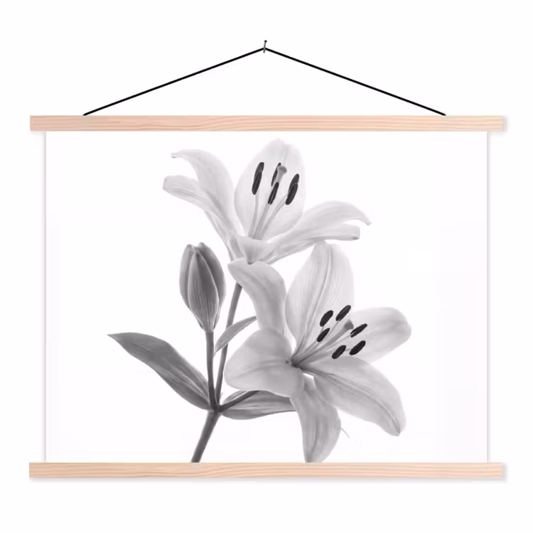 Lelies - Elegant - Zwart - Wit textielposter latten blank klein -3d
