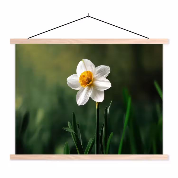 Narcis - Bloem - Wit - Grassprieten textielposter latten blank klein -3d