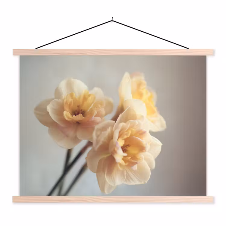 Narcissen - Geel - Bloemblaadjes textielposter latten blank klein -3d