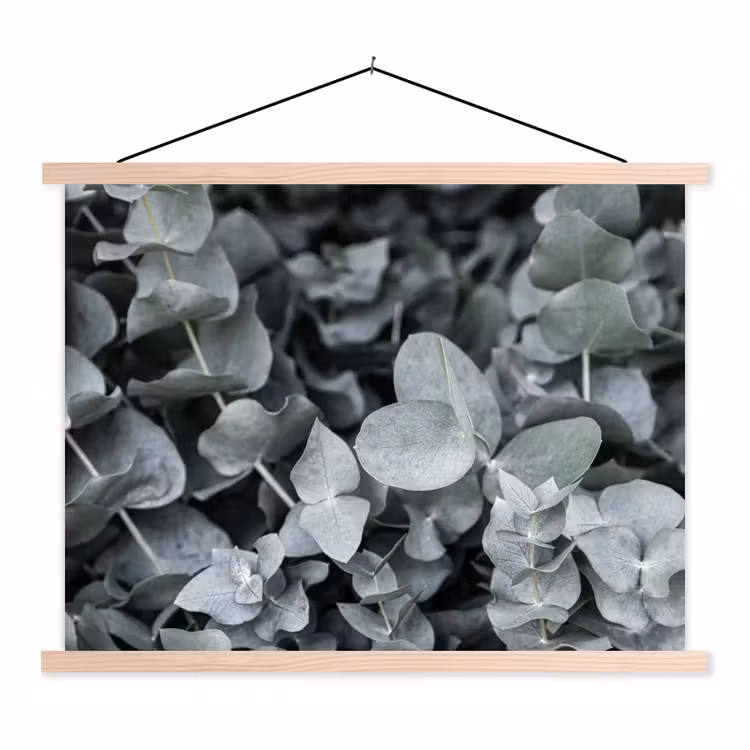 Close-up van eucalyptusplanten uit de natuur textielposter latten blank klein -3d