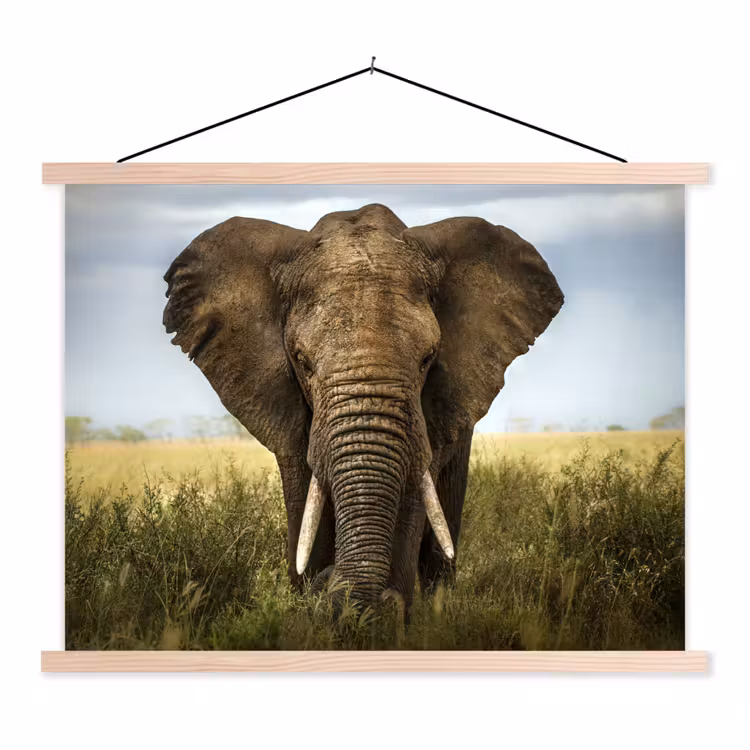 Olifant - Natuur - Gras - Dieren - Landschap textielposter latten blank klein -3d