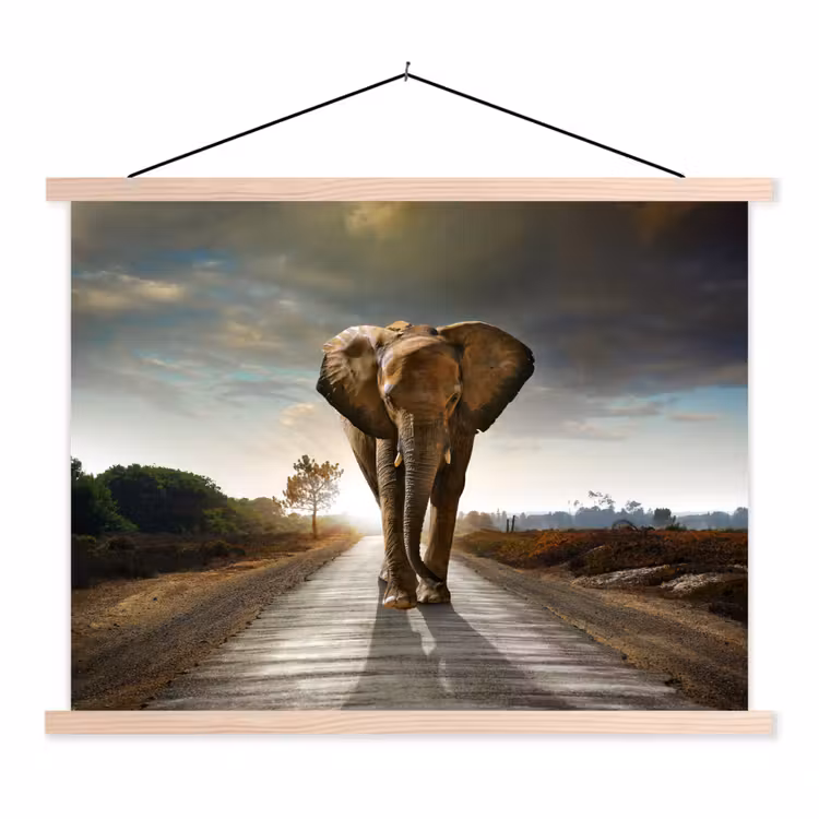 Olifant - Weg - Dieren - Zonsondergang - Landschap textielposter latten blank klein -3d