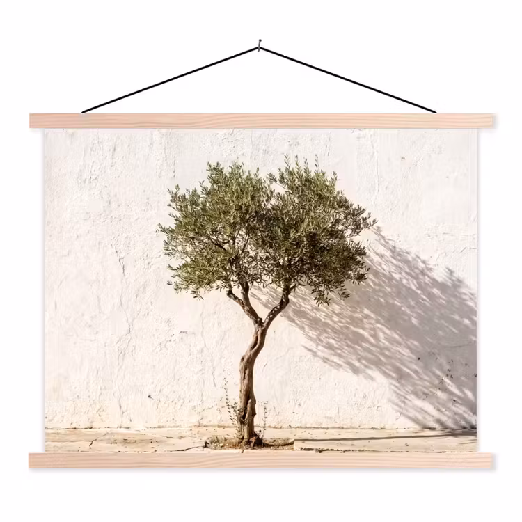 Schoolplaat - Olijfboom - muur - wit - Olijfboom - muur - wit textielposter latten blank klein