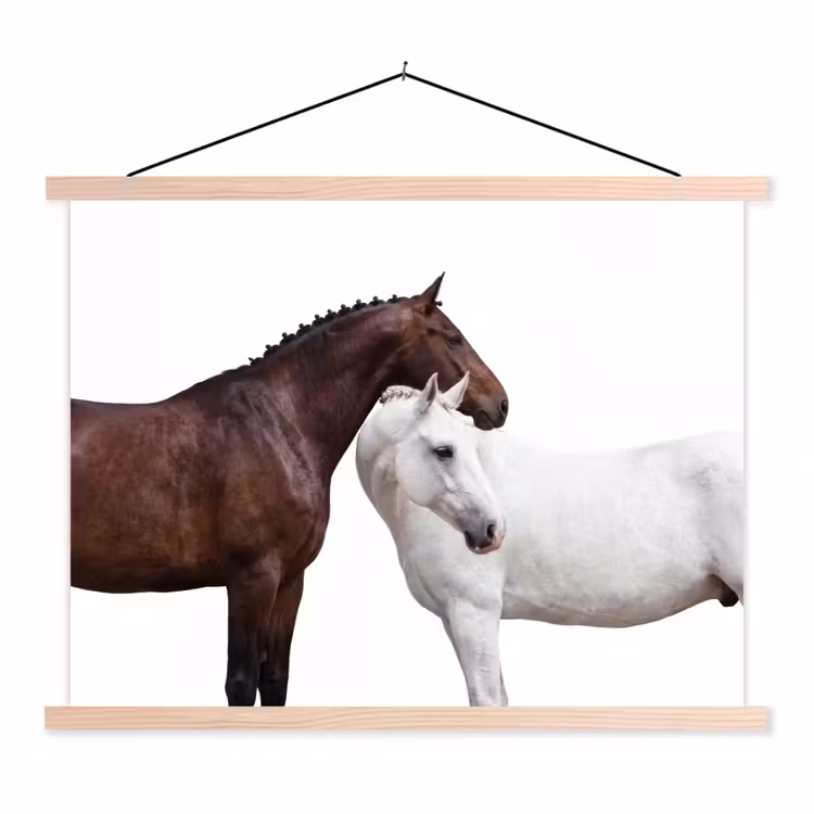 Paard - Modern - Balans textielposter latten blank klein -3d