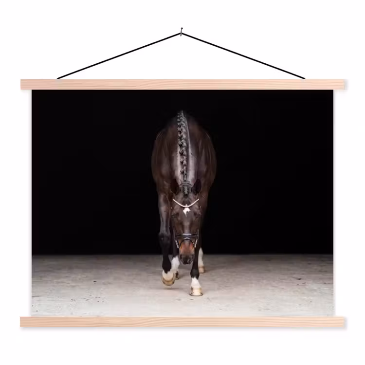 Paard - Modern - Portret textielposter latten blank klein -3d