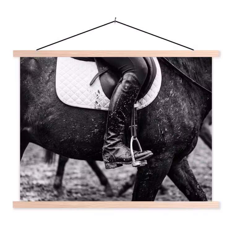 Paard - Sport - Zwart - Wit textielposter latten blank klein -3d