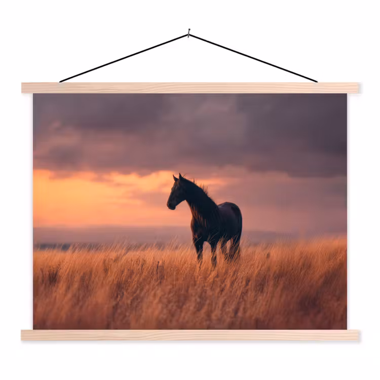 Paard - Wolken - Open veld textielposter latten blank klein -3d
