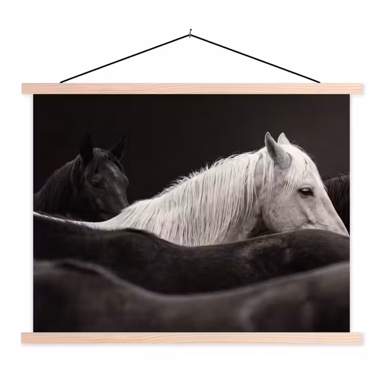Paarden - Zwart - Wit - Kudde textielposter latten blank klein -3d