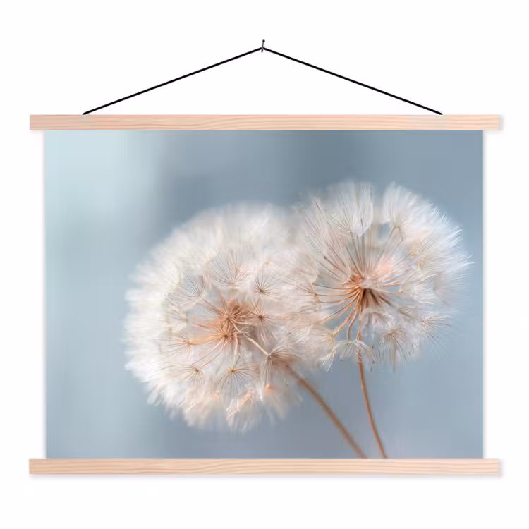 Paardenbloemen - Pluisjes - Wit textielposter latten blank klein -3d