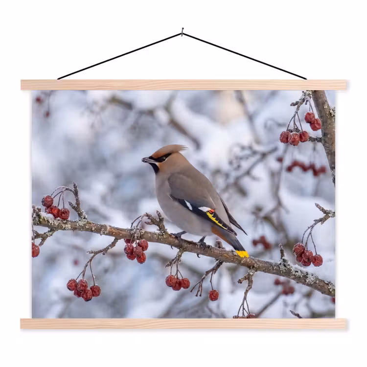 Pestvogel - Bessen - Winter - Natuur textielposter latten blank klein -3d