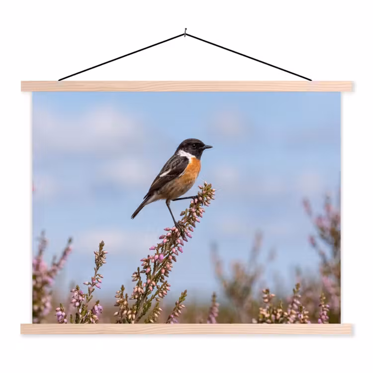Roodborsttapuit - Heide - Paars - Natuur - Sfeervol textielposter latten blank klein -3d