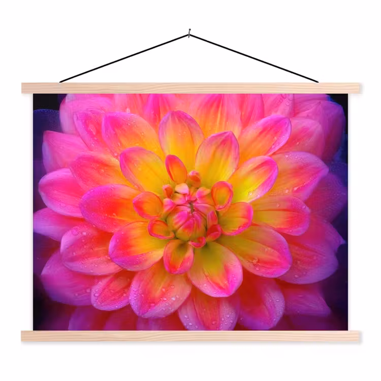 Roze - Dahlia - Kleurrijk textielposter latten blank klein -3d