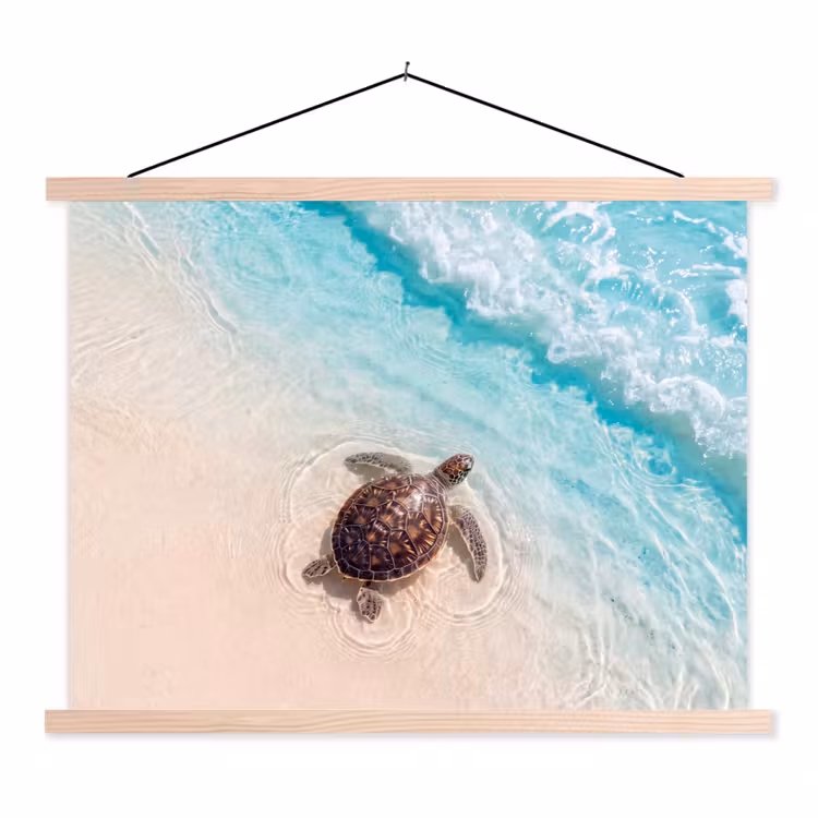 Schildpad - Helder water - Strand - Dieren - Natuur textielposter latten blank klein -3d