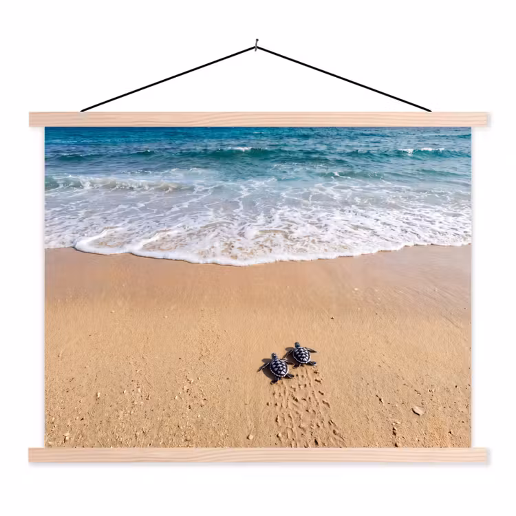 Schildpad - Jong - Strand - Oceaan - Blauw textielposter latten blank klein -3d