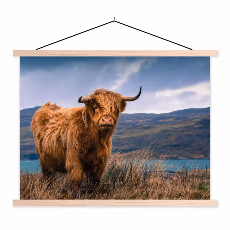 Schotse Hooglander - Berg - Water - Natuur - Koe textielposter latten blank klein -3d