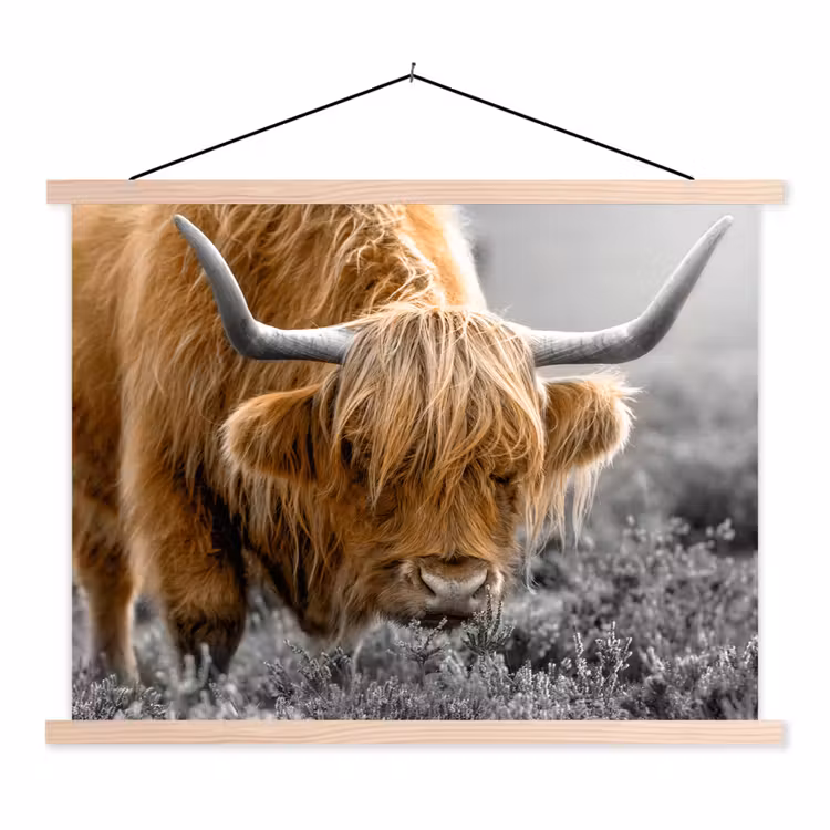 Schotse Hooglander - Dieren - Bruin - Koe - Zwart - Wit - Natuur textielposter latten blank klein -3d