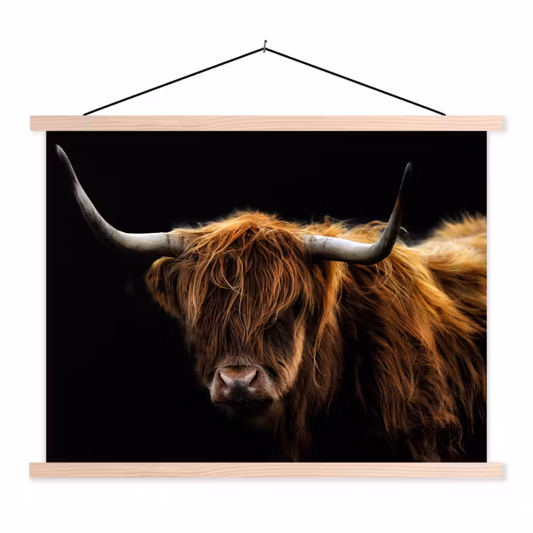 Schotse Hooglander - Horens - Zwart - Dieren - Natuur - Wild - Koe textielposter latten blank klein -3d