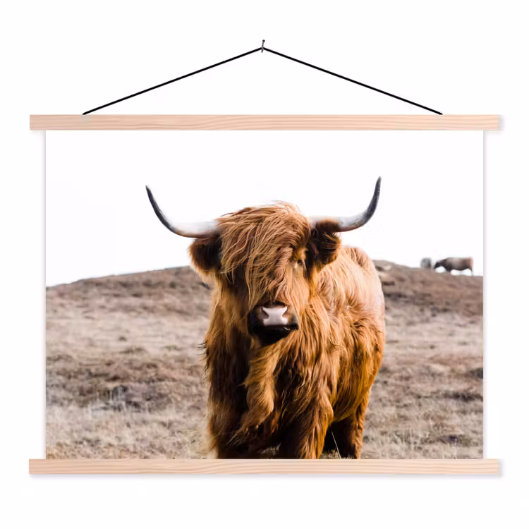 Schotse hooglander - Landschap - Koe - Bruin - Dieren - Natuur textielposter latten blank klein -3d