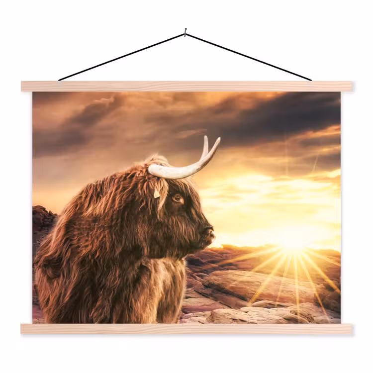 Schotse hooglander - Zon - Horizon - Koe - Dieren textielposter latten blank klein -3d
