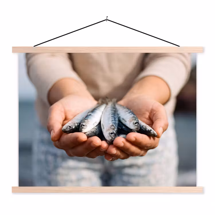 Schoolplaat - Vis - Handen - Natuur - Vis - Handen - Natuur textielposter latten blank klein