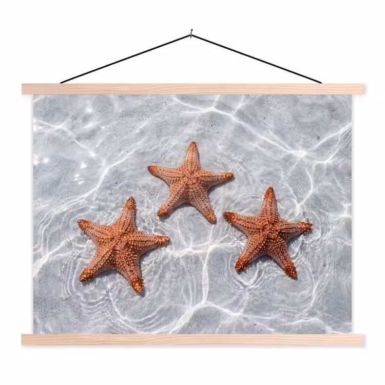 Zeesterren - Water - Helder textielposter latten blank klein -3d