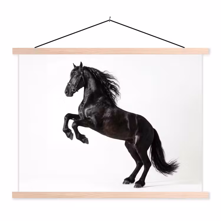 Zwart - Paard - Portret textielposter latten blank klein -3d