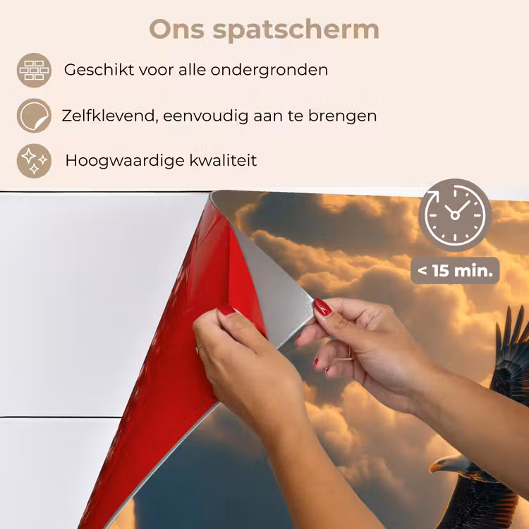 Adelaar - Wolken - Zon keuken achterwand spatscherm klein -spatscherm_NL