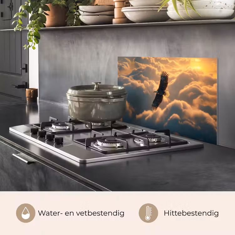 Adelaar - Wolken - Zon keuken achterwand spatscherm klein -usp_NL