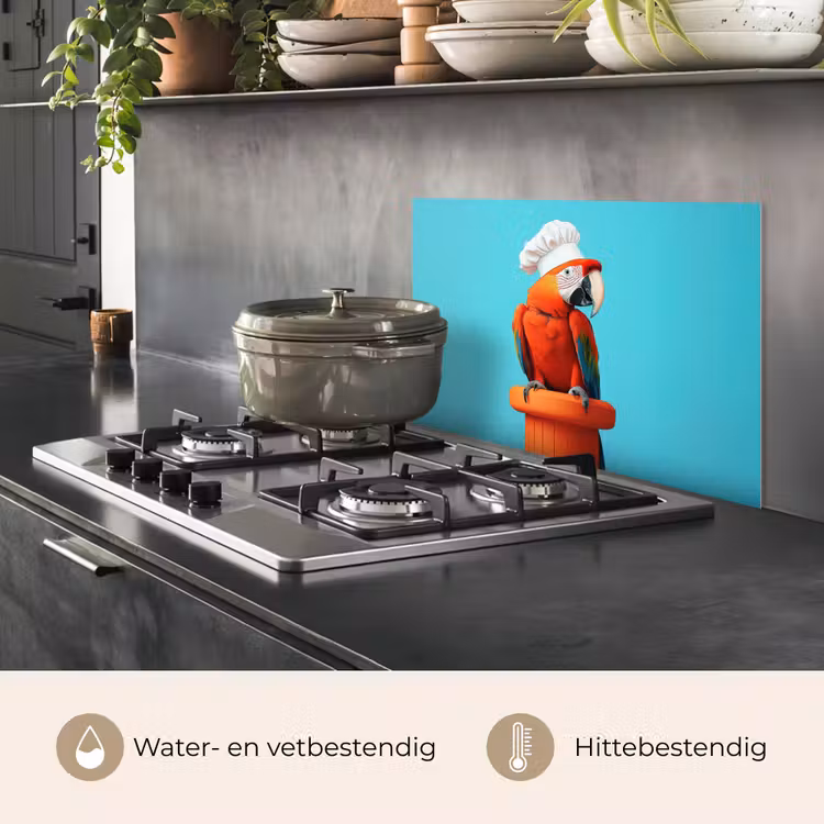 Ara - Koksmuts - Sokkel - Grappig keuken achterwand spatscherm klein -usp_NL