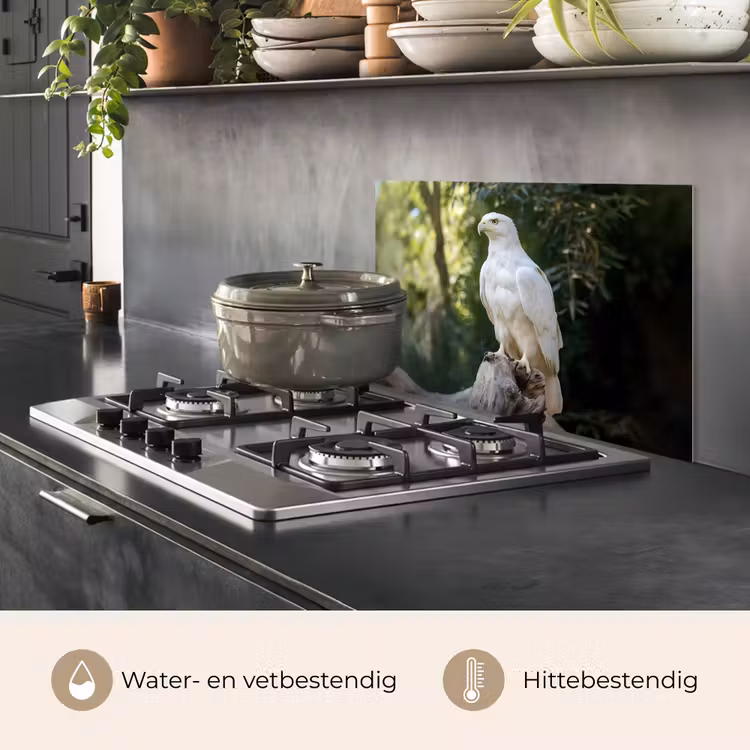 Arend - Hout - Wit - Planten keuken achterwand spatscherm klein -usp_NL