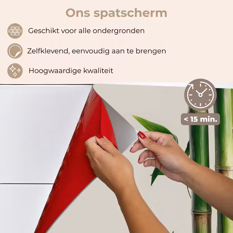 Bamboestengels - Sierlijk - Groen keuken achterwand spatscherm klein -spatscherm_NL