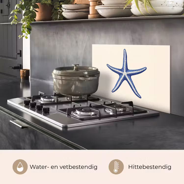 Blauwe zeester - Minimalistisch - Beige keuken achterwand spatscherm klein -usp_NL