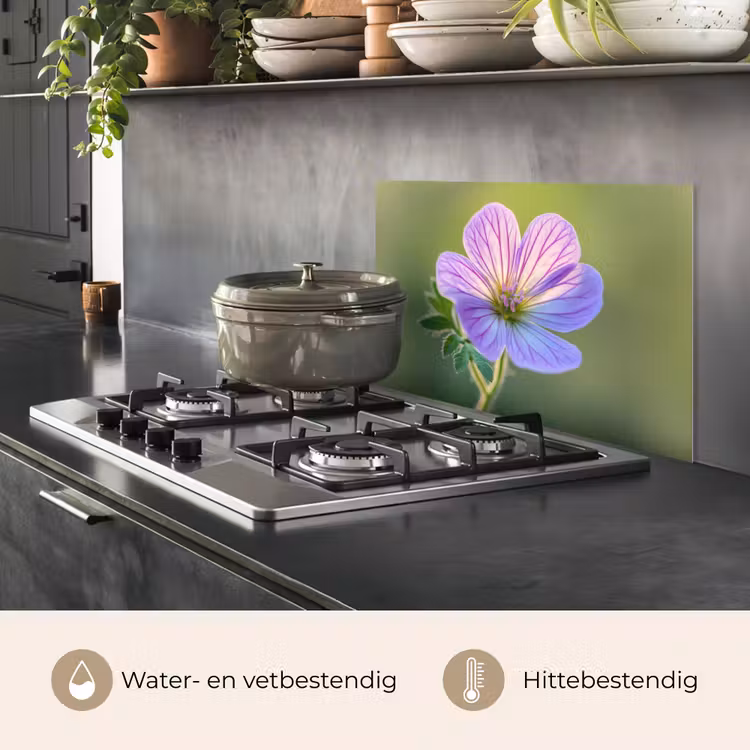 Bloem - Close up - Paars keuken achterwand spatscherm klein -usp_NL