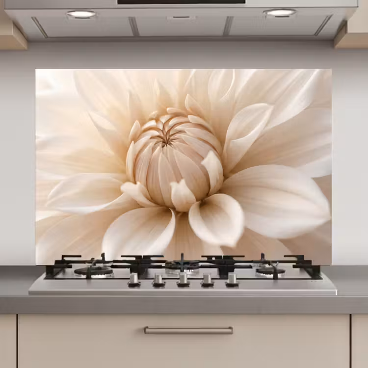 Bloem - Dahlia - Wit keuken achterwand spatscherm klein -3d_website