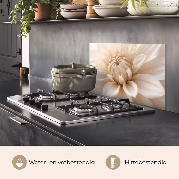 Bloem - Dahlia - Wit keuken achterwand spatscherm klein -usp_NL